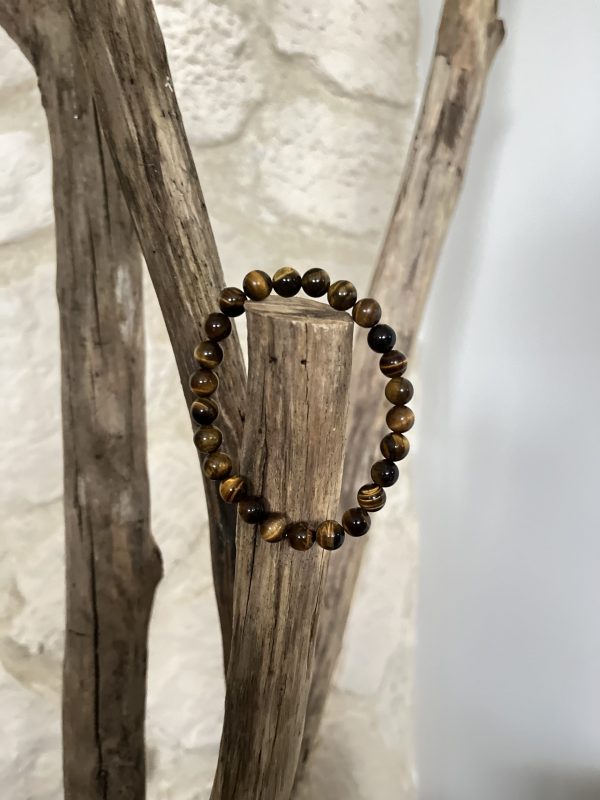 Protection avec l’œil du tigre – Image 6