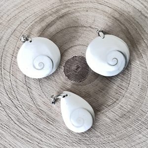 Gomati Chakra : Pierre de Protection et d’Abondance Spirituelle