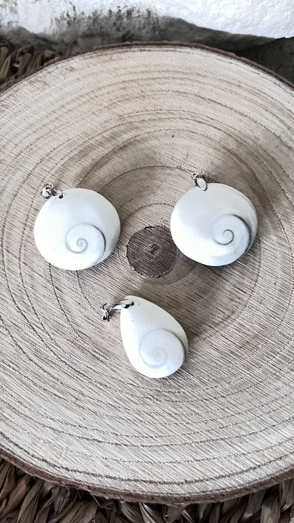 Gomati Chakra : Pierre de Protection et d’Abondance Spirituelle