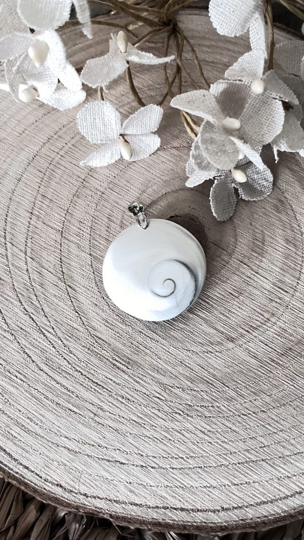 Gomati Chakra : Pierre de Protection et d’Abondance Spirituelle – Image 2
