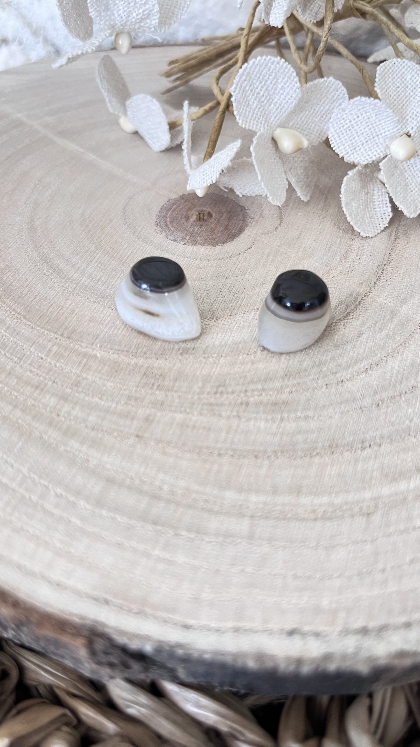 Œil de shiva – Image 2